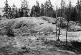 Rundhällar av gnejs på almbyplatån vid Sörby skidbacke, 1964