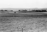 Kilsslätten längst Kilsbergen i Närkes Kil, 1964