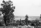 Vy från Ullavi klint över kilsslätten i Kil, 1964