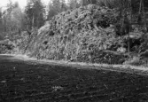 Sedimentfylld svacka i kilsbergssluttningen i Ånnaboda i Tysslinge, 1964