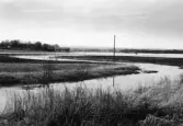 Våröversvämning på Knistaslätten öster om kyrkan, 1964