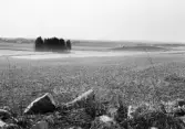 Drumlin i det forna skärgårslandskapet i Hackvad, 1964