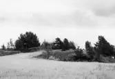 Rundhällar omkring 1 kilometer norr om Glanshammars kyrka, 1964