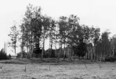Moränvall vid Säbylund i Kumla, 1964