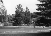 Kumlasjön i Djupadalsparken i Kumla, 1964