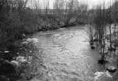 Erosion från järnvägsbron över Svartån i Karlslund i Längbro, 1964