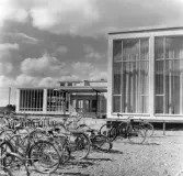 Cyklar parkerade framför Rostaskolans enorma fönster, 1960