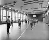 Uppställning på gymnastikundervisningen på Vasaskolan, 1960-tal