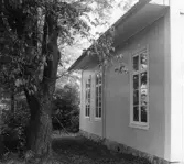 Träd nära baksidan på Ekers skola i Längbro, 1948