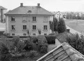 Uthus vid häcken på  Holmens skola, 1948