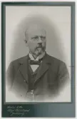 Porträtt på Ingenjör och uppfinnare Alexander Lagerman Född 11 februari år 1836 i Östra Eneby socken, Östergötlands län, död 28 november år 1904 i Sofia församling i Jönköping