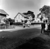 Ållebergsvägen från Gärdesgatan. Från NM:s byggnadsinventering 1957.