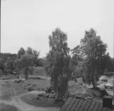 Gudsberga kloster, Husby socken. Översiktsbild av klosterruinen någon vecka efter arbetets igångsättande.