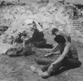 Gudsberga kloster, Husby socken. En del av arbetslaget. Hans Dahlfors och Stig Gustafsson undersöker 