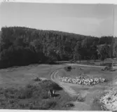 Gudsberga kloster, Husby socken. Översiktsbild av utgrävningarna vid klosterkyrkan. Foto mot väster.