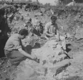 Gudsberga kloster, Husby socken. La Björn Hallerdt och P. H. Rosenström.