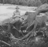Gudsberga kloster, Husby socken. Undersökningsarbete vid den norra muren intill korpartiet. På murens utsida arbetade två man med borttagande av stora grabstubbar,