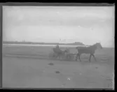 En kvinna kör häst och vagn på en stor, öde sandstrand.
Något suddigt foto.