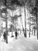 Fyra pojkar ute i snötäckt skog på längdskidor, tidigt 1900-tal.