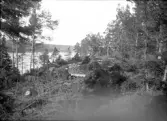 Vindfällen vid Källviken Koholmen 3/4 1910.