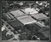 Eskilssons Eftr. Fritz Backerts handelsträdgård Sandgatan 33  var belägen i kv Trädgården där Floragården finns.