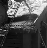 Friluftsmuseet, i Jönköpings stadspark, består av flera äldre byggnader till exempel soldattorpet, som flyttades från Linderås. Detta dokumenterades 1978-03-10.