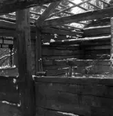 Friluftsmuseet, i Jönköpings stadspark, består av flera äldre byggnader till exempel soldattorpet, som flyttades från Linderås. Detta dokumenterades 1978-03-10.