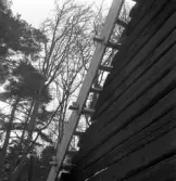 Friluftsmuseet, i Jönköpings stadspark, består av flera äldre byggnader till exempel soldattorpet, som flyttades från Linderås. Detta dokumenterades 1978-03-10.