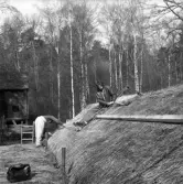 Friluftsmuseet, i Jönköpings stadspark, består av flera äldre byggnader till exempel soldattorpet, som flyttades från Linderås. Detta dokumenterades 1978-03-10.