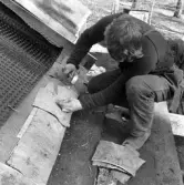 Friluftsmuseet, i Jönköpings stadspark, består av flera äldre byggnader till exempel soldattorpet, som flyttades från Linderås. Detta dokumenterades 1978-03-10.