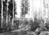 Man (A Fridolf Persson?) står i skogen med kamera och stativ.