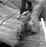 Friluftsmuseet, i Jönköpings stadspark, består av flera äldre byggnader till exempel soldattorpet, som flyttades från Linderås. Detta dokumenterades 1978-03-10.