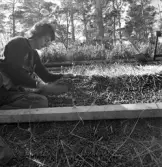 Friluftsmuseet, i Jönköpings stadspark, består av flera äldre byggnader till exempel soldattorpet, som flyttades från Linderås. Detta dokumenterades 1978-03-10.