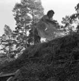 Friluftsmuseet, i Jönköpings stadspark, består av flera äldre byggnader till exempel soldattorpet, som flyttades från Linderås. Detta dokumenterades 1978-03-10.