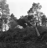 Friluftsmuseet, i Jönköpings stadspark, består av flera äldre byggnader till exempel soldattorpet, som flyttades från Linderås. Detta dokumenterades 1978-03-10.