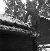 Friluftsmuseet, i Jönköpings stadspark, består av flera äldre byggnader till exempel soldattorpet, som flyttades från Linderås. Detta dokumenterades 1978-03-10.