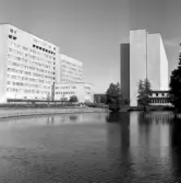 Svartåns kantläggning ligger nära Regionsjukhuset, 1965