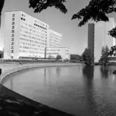 Regionsjukhusets olika huskroppar, 1965