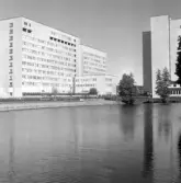 Regionsjukhuset, 1965