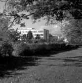 Park vid Regionsjukhuset, 1965