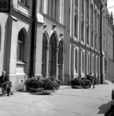 Blomsterurnor vid entrén till Örebro Rådhus, 1965