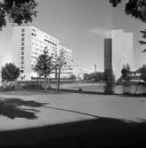 Parkering och gångstråk vid Regionsjukhuset, 1970-tal