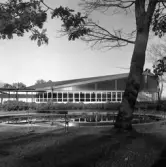 Näckrosdammen vid Restaurang Regnbågen i Brunnsparken, 1970-tal