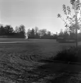 Parkering utanför Brunnsparken, 1970-tal