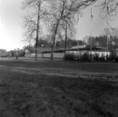 Grönyta utanför entrén till Brunnsparken, 1970-tal