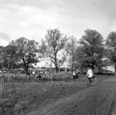 Cykelparkering vid Risbergska skolan, 1970-tal