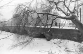 Kanslibron i vinterskrud, 1970-tal