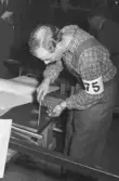 Hantverkstävling på Rotundan den 2 april 1950. Snickare.