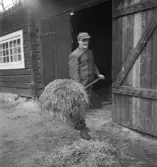 Reportage från Furuvik. Den 26 april 1950