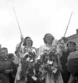 Studentexamen. Den 15 maj 1950